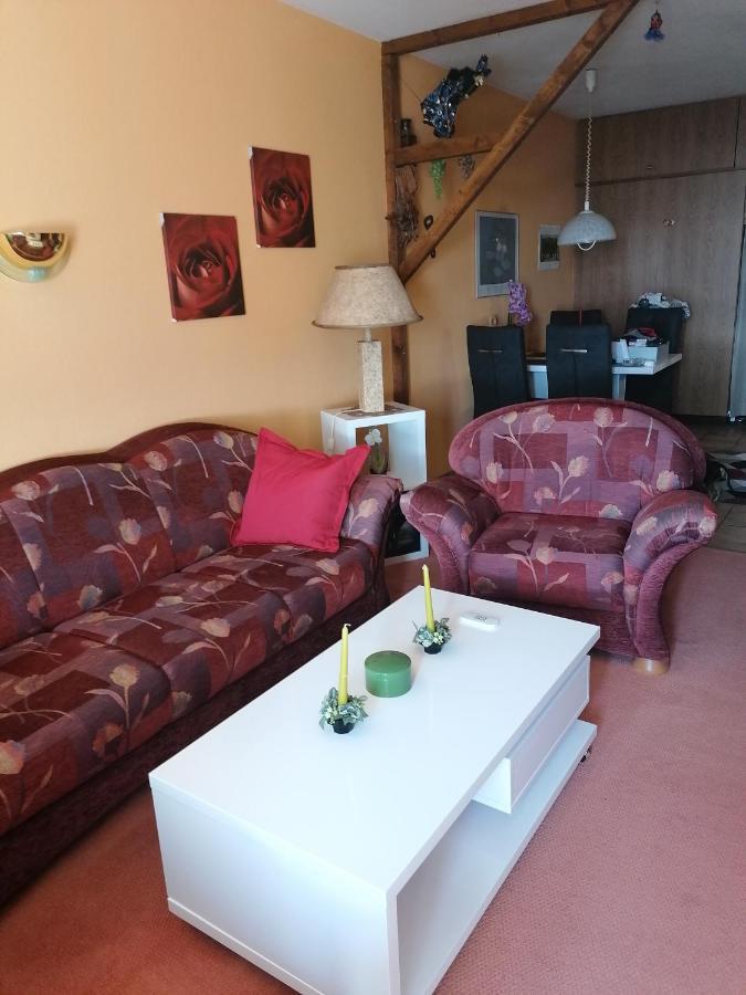 Apartament Harz Stube Goslar Zewnętrze zdjęcie